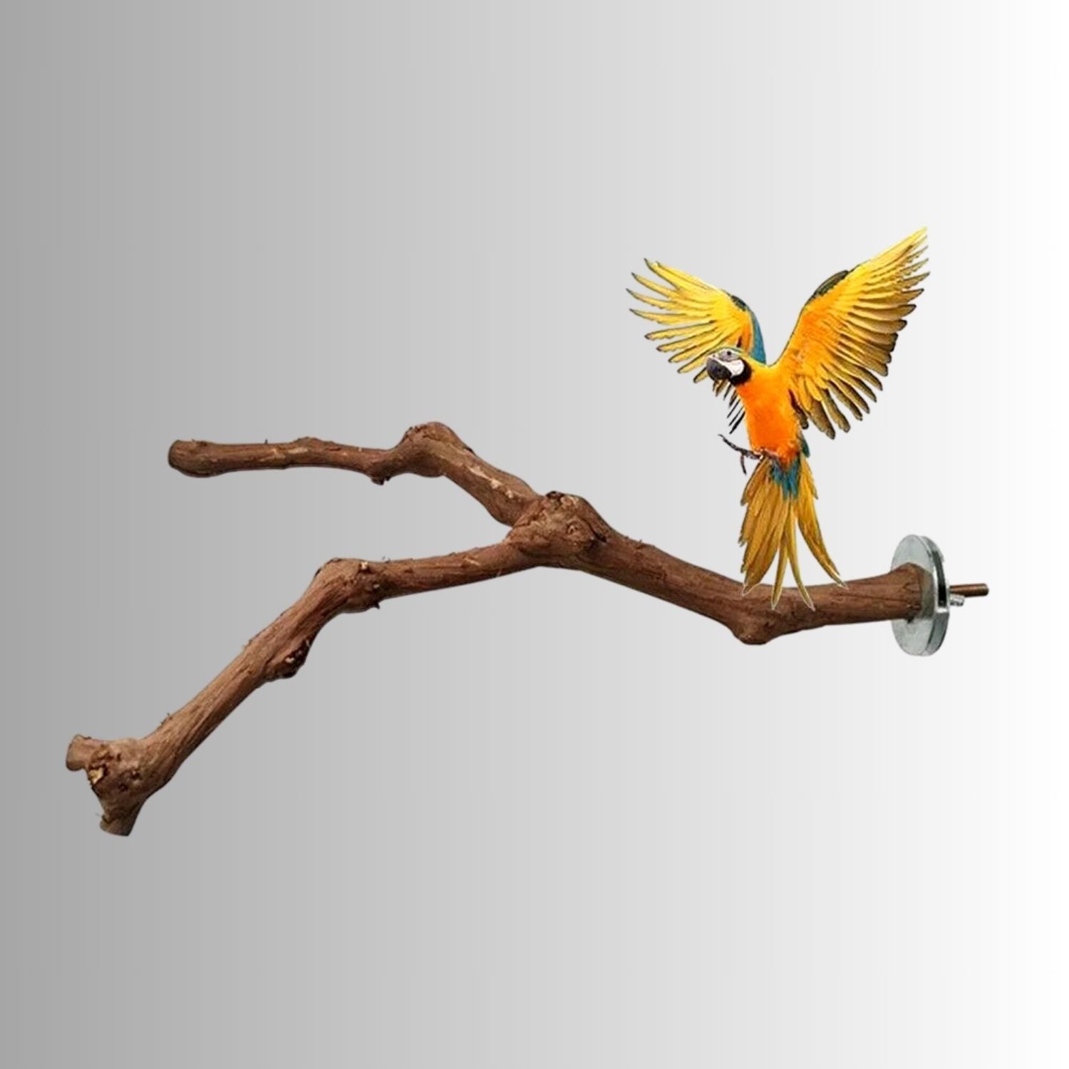 Natuurlijke Vogelstand tak met gele papegaai